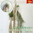 「エントリーで★ポイント10倍 」プラントハンガー 3個セット ハンギングプランター ボヘミアン 室内用 吊り下げプランター 観葉植物 吊り下げ マクラメ ロープ ハンドメイド ナチュラル 手編み 60cm 送料無料 ※プランターは付属してません