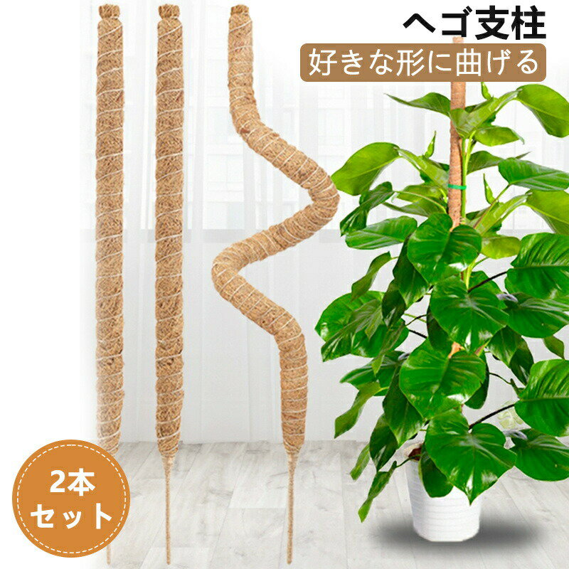 ヘゴ支柱 2本セット 園芸支柱 好きな形に曲げる 誘引 支柱 フラワースタンド 花支え 観葉植物モンステ..