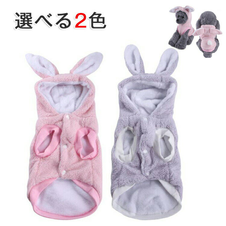 中型犬 かわいい 年賀状 暖かい おしゃれ うさぎ年 ペットグッズ 小型犬 ピクニック チワワ ル?ムウェ..