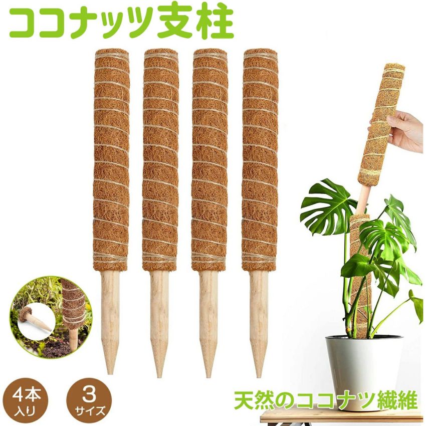 ココスティック 4点セット モンステラ支柱 観葉植物 支柱 園芸支柱 植物 ガーデニング用 花ささえ ココ..