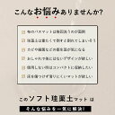 珪藻土バスマット ソフト 速乾 珪藻土マット 風呂 浴室 洗える 吸水 速乾 滑り止め かわいい 大きいサイズ ノンアスベスト 柔らか 大判