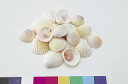 ホワイトコクルス 120g NO,001/165-1089-0【01】 花資材・フローリスト道具 デコレーションパーツ・素材 夏の小物・素材