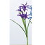 【造花】アスカ/ネリネリリィ×5 パ−プル/A-32759-007【01】【01】【取寄】《 造花(アーティフィシャルフラワー) 造花 花材「な行」 ネリネ・ダイヤモンドリリー 》