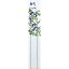 【造花】アスカ/ジャスミン×16 つぼみ×6 ブル−/A-32813-009【01】【取寄】