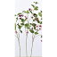 【造花】アスカ/フクシア×10 つぼみ×7 パ−プル/A-32904-007【01】【取寄】