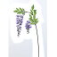 【造花】アスカ/ウィステリア ラベンダ−/A-32841-006【01】【取寄】