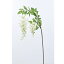 【造花】アスカ/ウィステリア クリ−ムホワイト/A-32841-011【01】【01】【取寄】《 造花(アーティフィシャルフラワー) 造花 花材「は行」 フジ(藤) 》