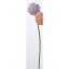 【造花】アスカ/アリウム ラベンダ−/A-32836-006【01】【01】【取寄】《 造花(アーティフィシャルフラワー) 造花 花材「あ行」 アリウム 》