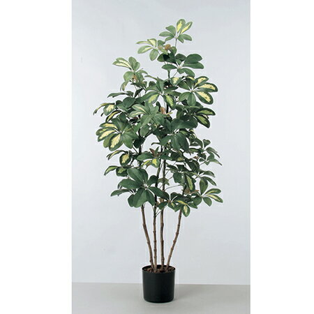 【人工観葉植物】アスカ/ベビーシェフレラポット　グリ−ン/A-50757-051A【01】 造花（アーティフィシャ..