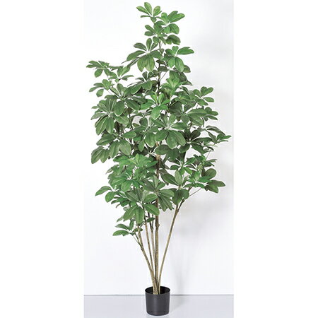 【直送】【人工観葉植物】アスカ/シェフレラポット　グリ−ン/A-50859-051A ※代引返品不可【01】 造花（..