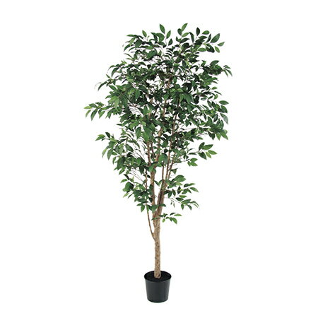 【直送】【人工観葉植物】アスカ/ファイカスツリー　（ポット付）　グリ−ン/A-50774-051A※返品代引不可..