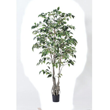 【直送】【人工観葉植物】アスカ/ファイカスツリー　（ポット付）　グリ−ン/A-50866-051A※返品代引不可..