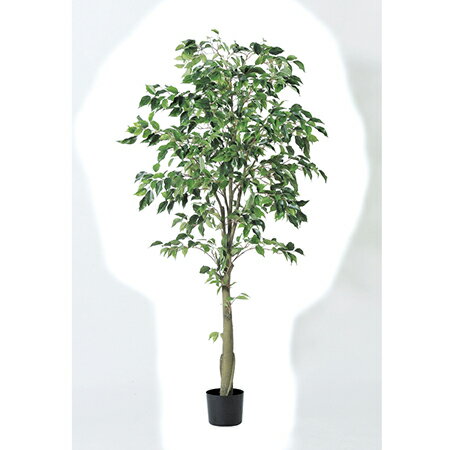 【直送】【人工観葉植物】アスカ/ファイカスツリー　（ポット付）　グリ−ン/A-50867-051A※返品代引不可..