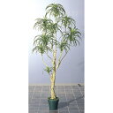 【直送】【人工観葉植物】アスカ/ユッカツリー (ポット付) グリ−ン/A-56004-051A※返品・代引不可【01】 造花(アーティフィシャルフラ...