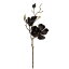【造花】MAGIQ(東京堂)/マグノリアミディ #20 BLACK /FM003336-020【01】【01】【取寄】《 造花(アーティフィシャルフラワー) 造花 花材「ま行」 モクレン(木蓮)・マグノリア 》