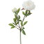 即日 【造花】YDM/プリマピオニーショート ホワイト/FA6895-W 芍薬・牡丹 造花(アーティフィシャルフラワー) 造花 花材「さ行」 シャクヤク(芍薬)・ボタン(牡丹)・ピオニー