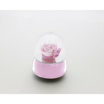 OrangeDeco/ドームオルゴール WH ホワイト/FJ-255【01】【01】【取寄】《 花器、リース 花器・花瓶 セロンドーム 》