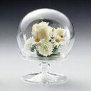 LEOタカオカ/T−254 台付ドームL/T-254【01】 花器、リース 花器・花瓶 ドーム、ガラスドーム