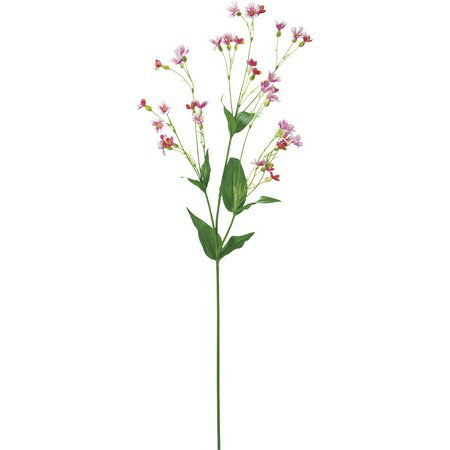 YDM/サポナリア（poppy-FA6320P）《色：Pピンク》 造花（アーティフィシャルフラワー） 造花 花材「さ行」 その他「さ行」造花花材