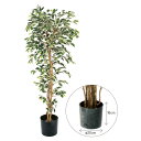 【直送】【人工観葉植物】YDM/ベンジャミンフィカスハワイアン 150cm 樹木のみ※ポットなし/GLP1320※返品・代引不可【01】 造花(アーティフィシャ...