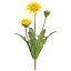 即日 【造花】MAGIQ(東京堂)/たんぽぽ YELLOW /FM002874《 造花(アーティフィシャルフラワー) 造花 花材「た行」 その他「た行」造花花材 》