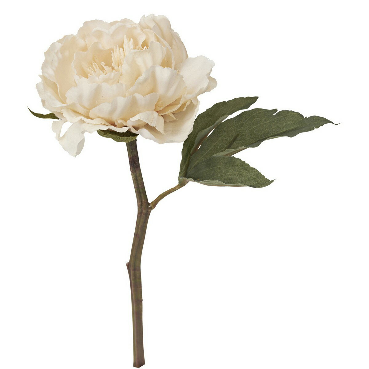【造花】YDM/アートピオニーショート ベージュ/FA -7033-BE《 造花（アーティフィシャルフラワー） 造花 花材「さ行」 シャクヤク（芍薬）・ボタン（牡丹）・ピオニー 》