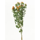 【ドライ】ベニバナ オレンジ 75g/FD003020-009【01】 ドライフラワー ドライフラワー花材 その他ドライフラワー(4)
