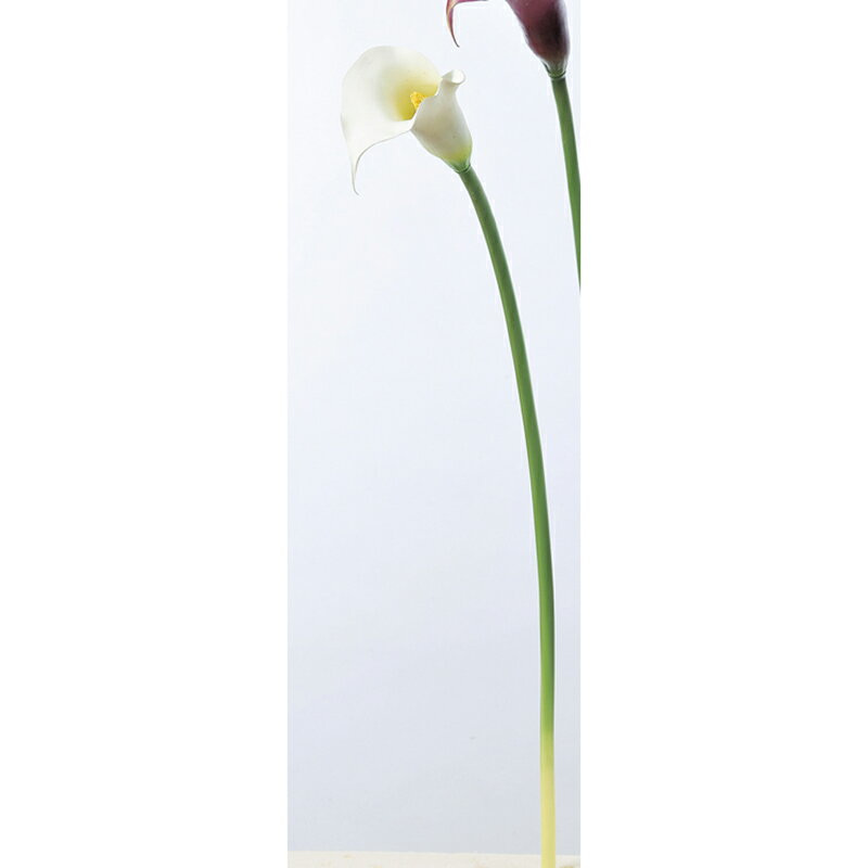【造花】アスカ/カラーリリィ ホワイト/A-32926-1【01】 造花(アーティフィシャルフラワー) 造花 花材「か行」 カラー