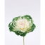 【造花】パレ/葉ボタンM ホワイト/グリ−ン/P-1239-M60【01】【取寄】造花(アーティフィシャルフラワー) 造花 花材「は行」 ハボタン(葉牡丹) 手作り 材料