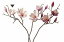 【造花】アスカ/マグノリア×2 つぼみ×2 クリームモーブ/A-31344-55C【01】【取寄】 造花(アーティフィシャルフラワー) 造花 花材「ま行」 モクレン(木蓮)・マグノリア 手作り 材料