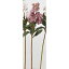 【造花】アスカ/ストック モーブ/A-32989-055【01】【取寄】