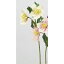 【造花】アスカ/クリスマスローズ×2 つぼみ×1 クリームピンク/A-33062-003C【01】【取寄】《 造花(アーティフィシャルフラワー) 造花 花材「か行」 クリスマスローズ 》