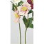 【造花】アスカ/クリスマスローズ×2 つぼみ×1 ローズクリーム/A-33062-005C【01】【01】【取寄】《 造花(アーティフィシャルフラワー) 造花 花材「か行」 クリスマスローズ 》