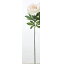 【造花】アスカ/ピオニー シャンペン/A-33009-027【01】|芍薬・牡丹【01】【取寄】《 造花(アーティフィシャルフラワー) 造花 花材「さ行」 シャクヤク(芍薬)・ボタン(牡丹)・ピオニー 》