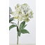 【造花】アスカ/ピオニー グリーンパープル/A-33059-053P【01】|芍薬・牡丹【01】【取寄】《 造花(アーティフィシャルフラワー) 造花 花材「さ行」 シャクヤク(芍薬)・ボタン(牡丹)・ピオニー 》