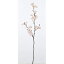 【造花】アスカ/桜×71 つぼみ×3 ピンク/A-32983-003【01】【取寄】《 造花(アーティフィシャルフラワー) 造花 花材「さ行」 さくら(桜) 》