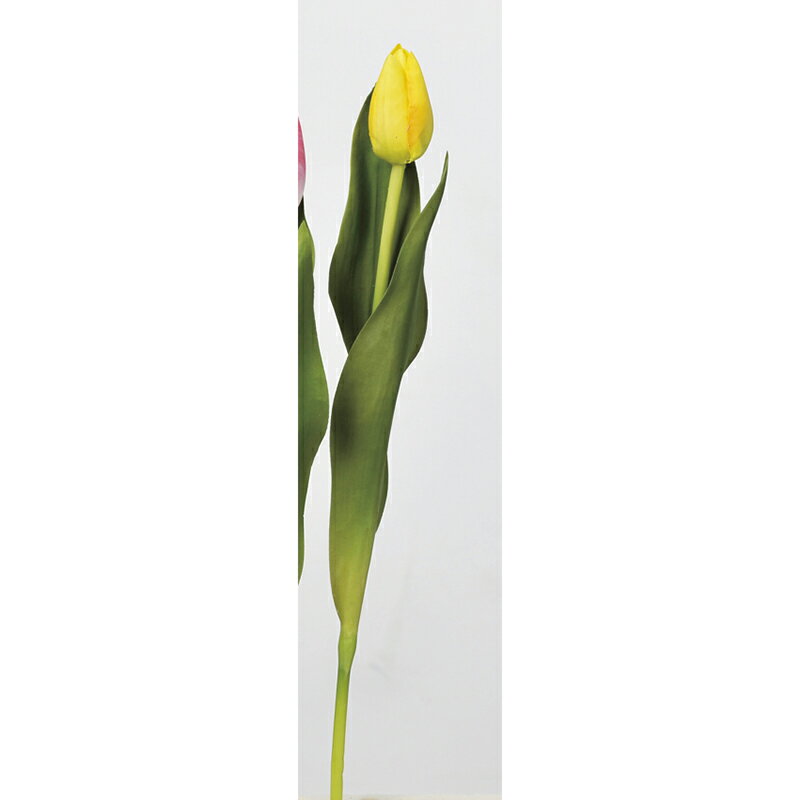 アスカ/チューリップ イエロー/A-33053-010 造花（アーティフィシャルフラワー） 造花 花材「た行」 チューリップ