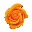 【サイズ】直径約4.5cm×高さ約5cmフレグランスソープフラワーは石鹸の素材から作られた香り付き観賞用のお花です。本来の石鹸の用途としてはお使いいただけません。プリザーブドフラワーや造花のようにアレンジを作れます。別売りのステム（約40cm）をお使いいただくと、より大きなアレンジを作ることができ、アレンジに迫力と深みを出すことができます。※香りはすべて同じではありません。ご購入ごとに変わることがあります。ご了承ください。※直射日光はお避けください。変色したり、色抜けしたりしますのでご注意ください。また水に濡れるだけで簡単に花びら同士がくっつきますので、水気にはご注意ください。※石鹸の素材を花びらの形に抜き取っていますので、端が薄く透明になる場合があります。※花びらに小さい黒い点が付く場合があります。生産上どうしても避けられません。ご了承ください。【お取り寄せ商品について】※こちらはお取り寄せ商品となります。現在メーカーデータ上在庫のあるものを掲載させて頂いておりますがメーカー実在庫の欠品等によりご注文いただいた後に欠品が発生する場合がございます。その場合にはメールにてご案内をさせて頂きます。/【VAR：40001】4571483273091/20170224newプリザーブドフラワー フレグランスソープフラワー ソープフラワー花材/0