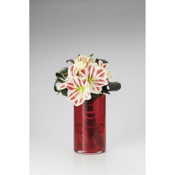 【楽天市場】LEO/フラワーベース レッド/F-2371【01】【取寄】 花器、リース 花器・花瓶 ガラス花器：花材通販はなどんやアソシエ