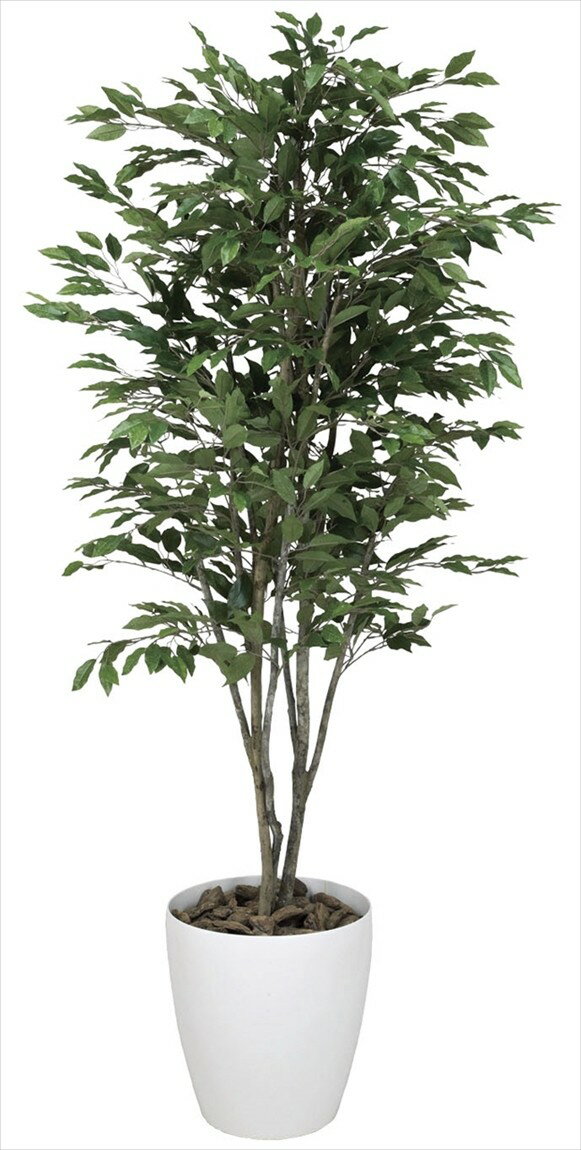 直送 オンライン 人工観葉植物 光の楽園 ベンジャミンツリー １ ８ 157c480 返品 07 07 造花 人工観葉植物 人工観葉植物 は行 ベンジャミン 花材通販はなどんやアソシエ 造花 人工観葉植物 人工観葉植物 は行 ベンジャミン