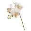 【造花】MAGIQ(東京堂)/メイリーファレノ #37 CREAM/FM004211-037【01】【取寄】《 造花(アーティフィシャルフラワー) 造花 花材「か行」 コチョウラン(胡蝶蘭) 》