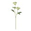 【造花】MAGIQ(東京堂)/シャーリーレースフラワー #1 WHITE/FM002560-001【01】【取寄】《 造花(アーティフィシャルフラワー) 造花 花材「ら行」 レースフラワー 》