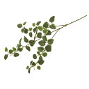 【造花】MAGIQ東京堂/プミラスプレー GREEN/FG006341【01】 造花(アーティフィシャルフラワー) 造花葉物 ドラセナ