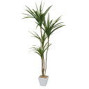 【直送】【人工観葉植物】YDM/ユッカポット グリーン/GLA1389-GR※返品キャンセル不可【07】 造花(アーティフィシャルフラワー) 造花葉物 造花・人...