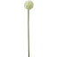 特価◎【造花】YDM/アリウム ホワイト/FA7079-W【01】【取寄】《 造花(アーティフィシャルフラワー) 造花 花材「あ行」 アリウム 》