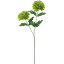 即日 【造花】YDM/ボールマムX2 グリーン/FF2900-GR《 造花(アーティフィシャルフラワー) 造花 花材「か行」 キク(菊)・ピンポンマム 》