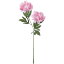 【造花】YDM/ピオニーX2 ピンク/FA7021-P【01】|芍薬・牡丹【01】【取寄】《 造花(アーティフィシャルフラワー) 造花 花材「さ行」 シャクヤク(芍薬)・ボタン(牡丹)・ピオニー 》