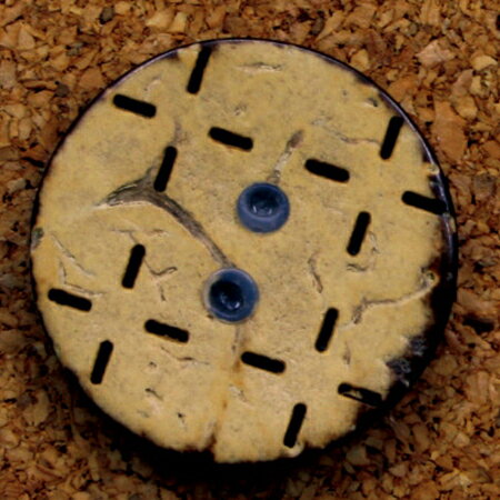 NBK日本紐釦貿易/ナチュラルボタン Φ20mm 4個/CG1312【10】 手芸用品 ソーイング資材 ボタン 手作り 材料