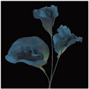 【造花】サンセイ/NY-049スイトピー #73藍/569319【10】 造花(アーティフィシャルフラワー) 造花 花材「さ行」 スイトピー