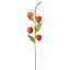 大特価◎【造花】YDM/ホオズキ*4 オレンジ/FS8119-OR【01】【取寄】《 造花(アーティフィシャルフラワー) 造花 花材「は行」 ほおずき 》